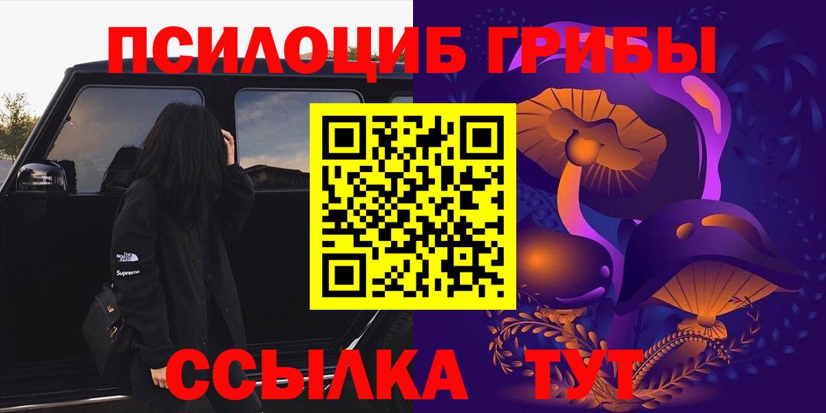 Псилоцибиновые грибы GOLDEN TEACHER Елизово